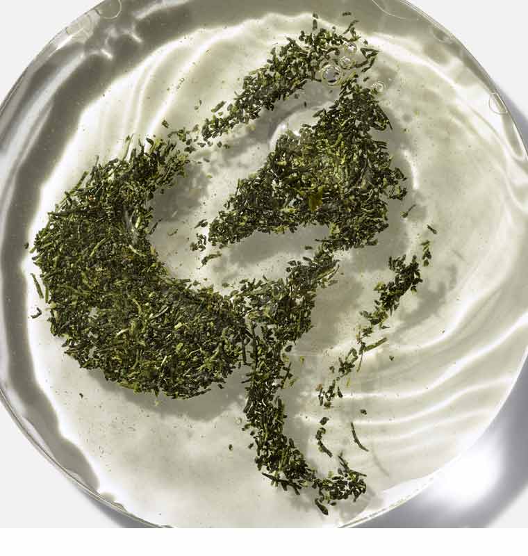 Gyokuro Green Tea